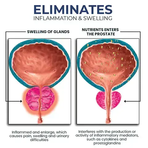 BeeProsta Nasal Spray for Prostate Wellness