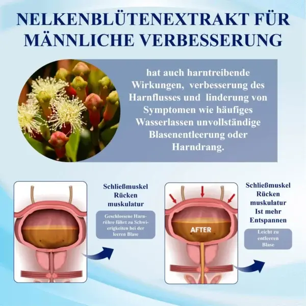 Männergesundheits Verbesserungspflaster