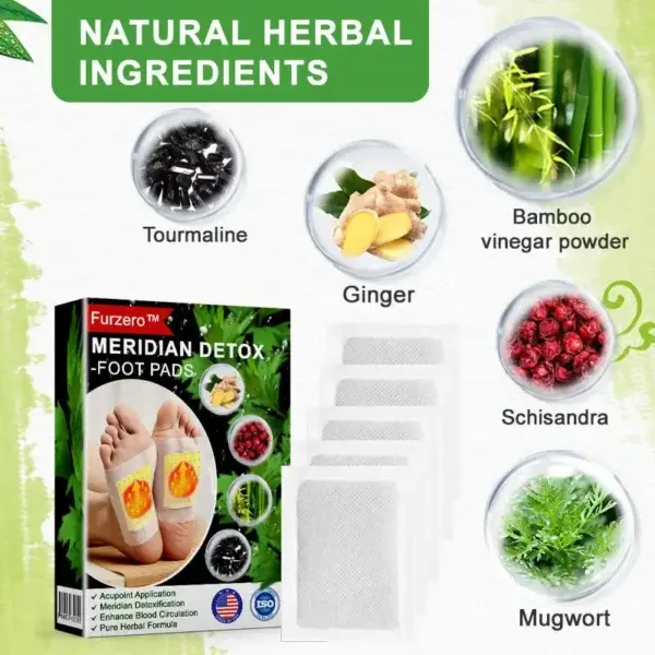 Meridian Detox Foot Patch