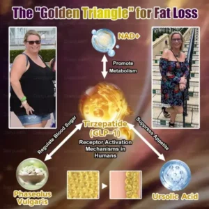 ๐๐๐ฎ๐น-๐๐ฐ๐๐ถ๐ผ๐ป ๐บ๐๐๐๐๐๐๐ & ๐ฏ๐๐๐๐๐ ๐ฉ๐๐๐๐ ๐ซ๐๐๐๐