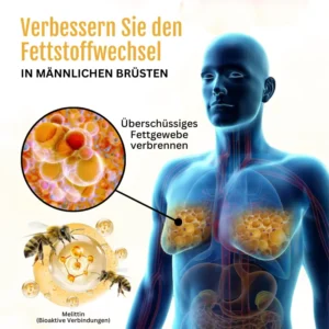 Alternative view of ThermoFest Bienengift Gynäkomastie-Öl