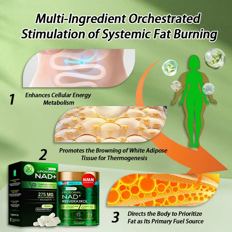 Liposomal NAD+ Resveratrol Capsule Supplement - Image 12