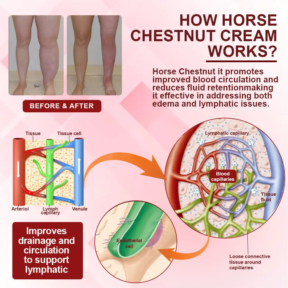 EdemaSupport Lymphatic Drainage Massage Cream - Image 6