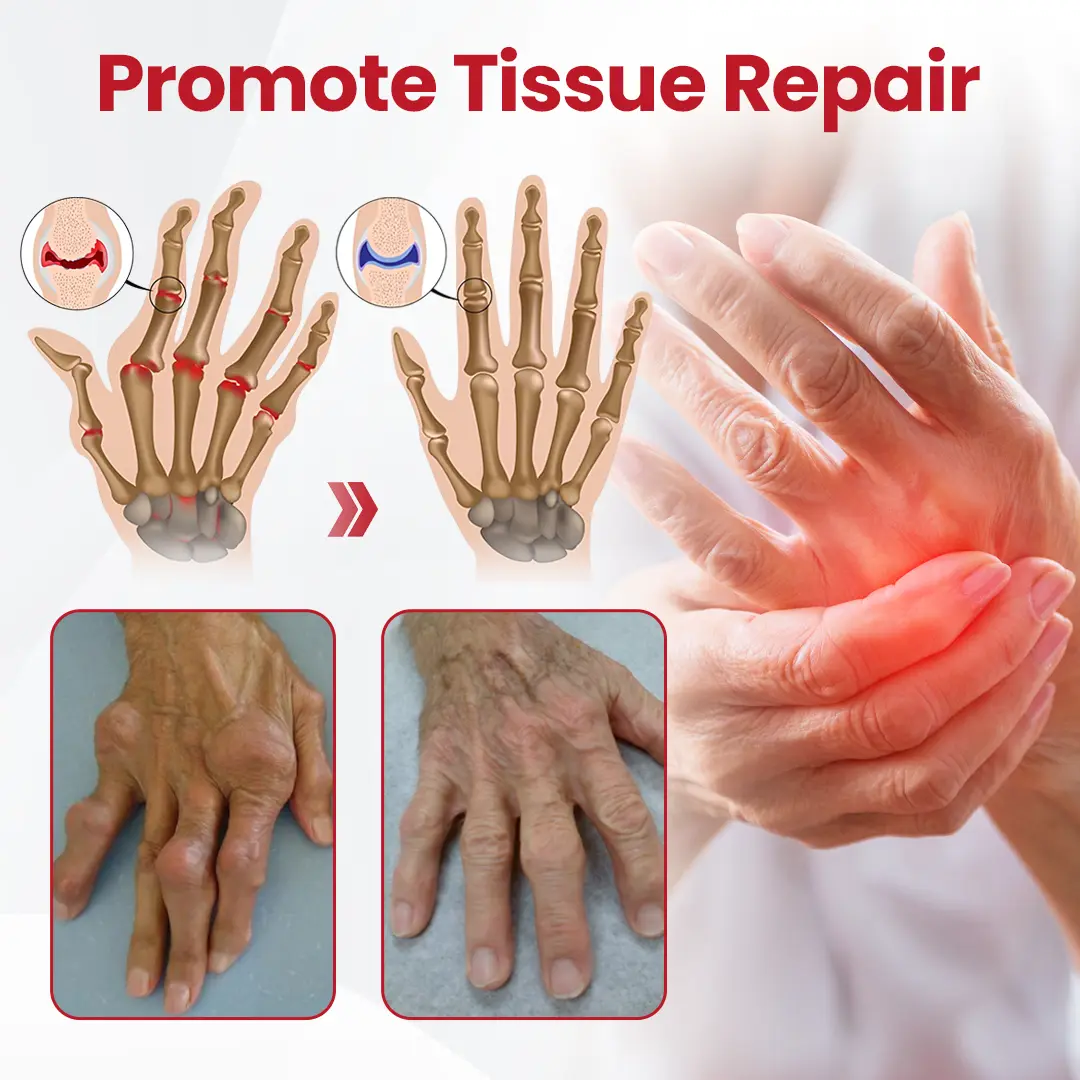 HorseEase Joint Relief Cream - Image 7