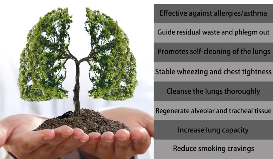 Organic Herbal Lung Cleanse Repair Nasal Spray - Image 5