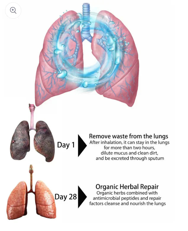 Organic Herbal Lung Cleanse Repair Nasal Spray - Image 6