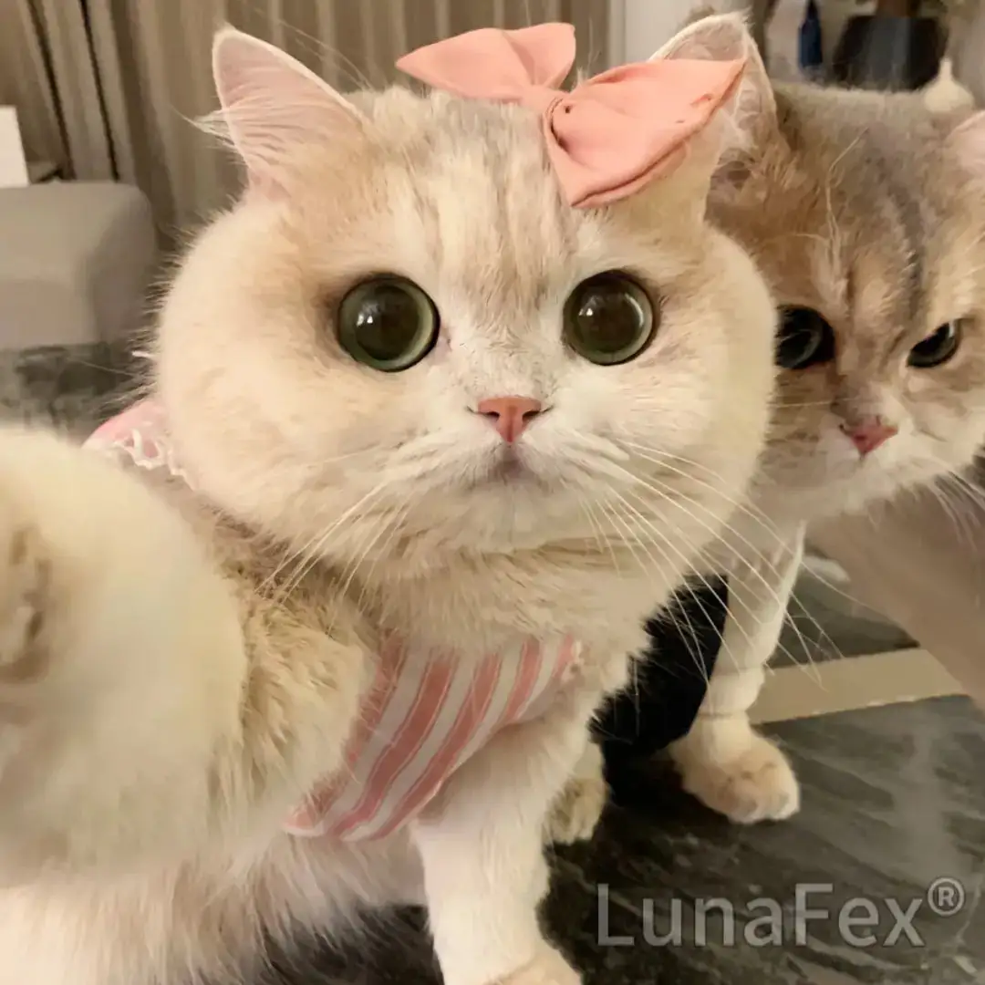 LUNA the Robot Cat Perfect Pet Duo for Kids & Family - Image 2