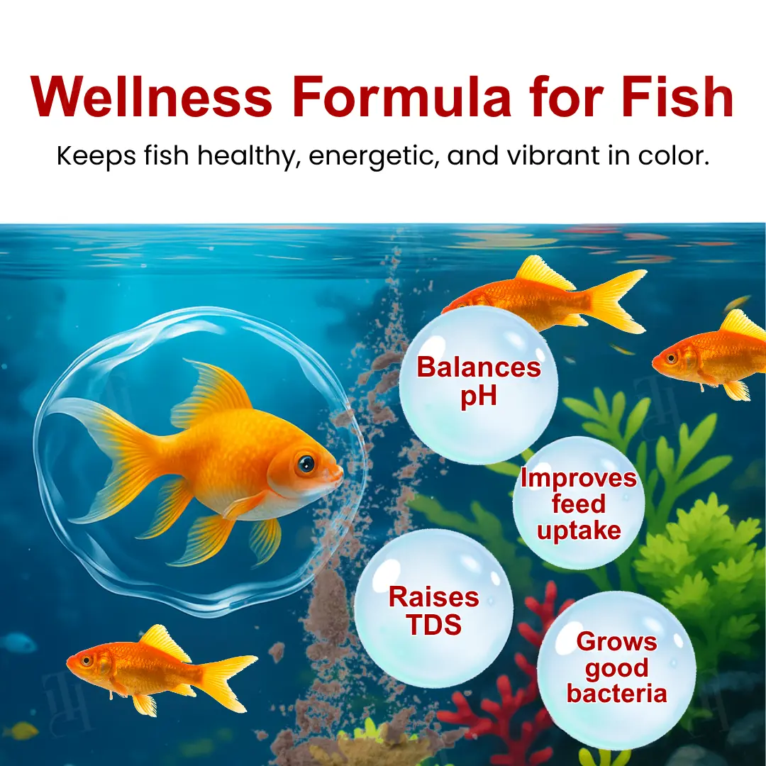 AquaImmune Pro-Safe - Image 5