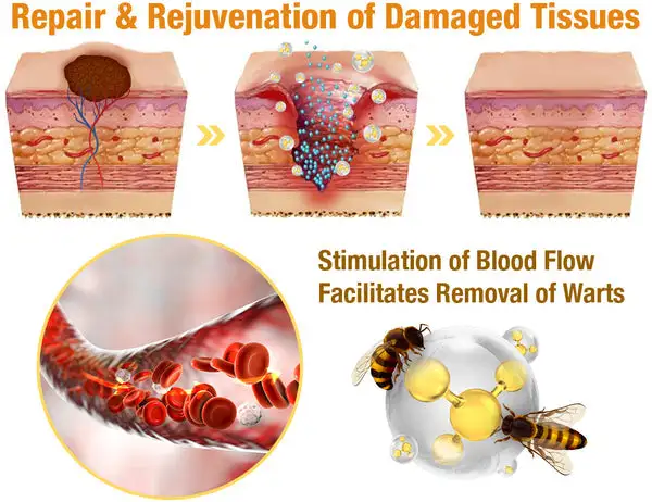 7-Day Multi-Effect All-in-One Skincare Cream - Image 9