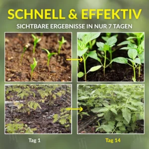 Alternative view of 2 in 1 Vita-Enzym Lösung