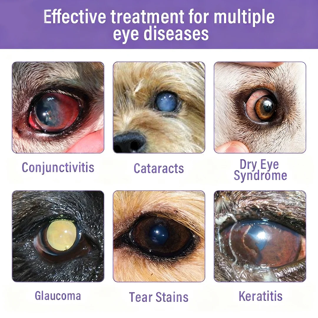 NanoCare Pet Eye Drops - Image 4