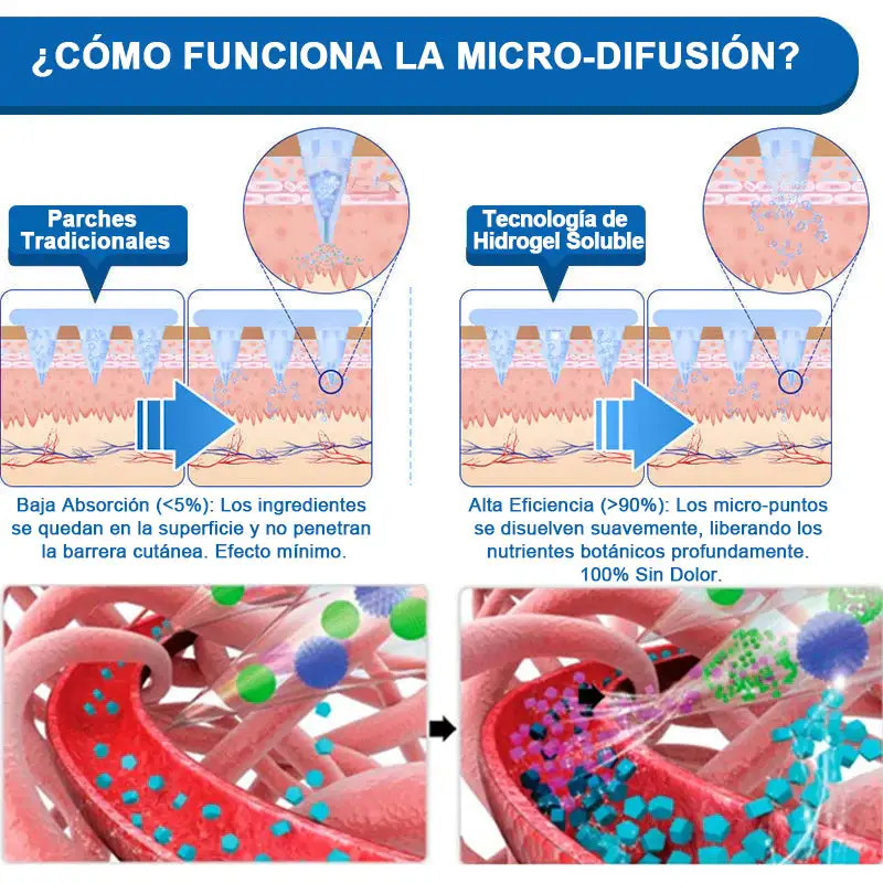 ð-ðð-ð ððð«ðð¡ð ððððððšÌð¥ð¢ððš & ððððð¢ð«ðŠðð§ðð - Image 11
