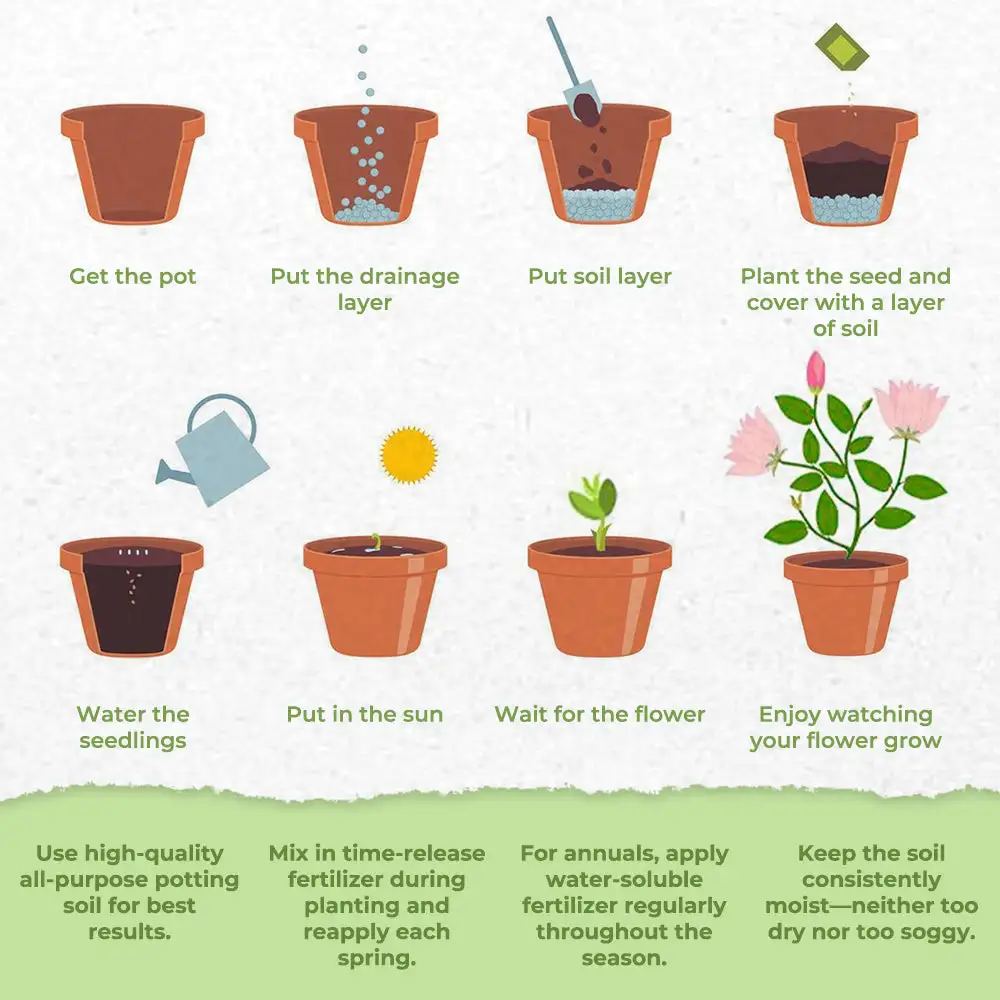 Charming Blossom Seeds - Image 8