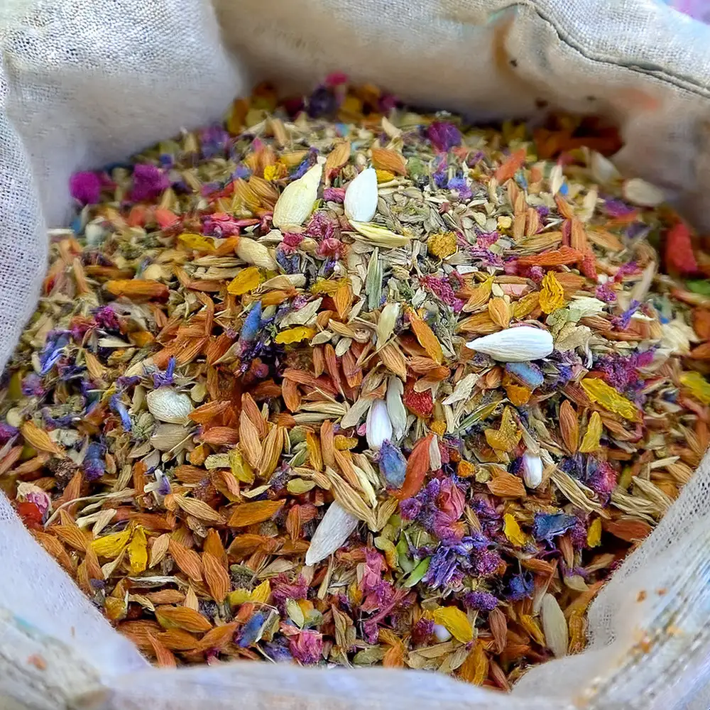 Charming Blossom Seeds - Image 9