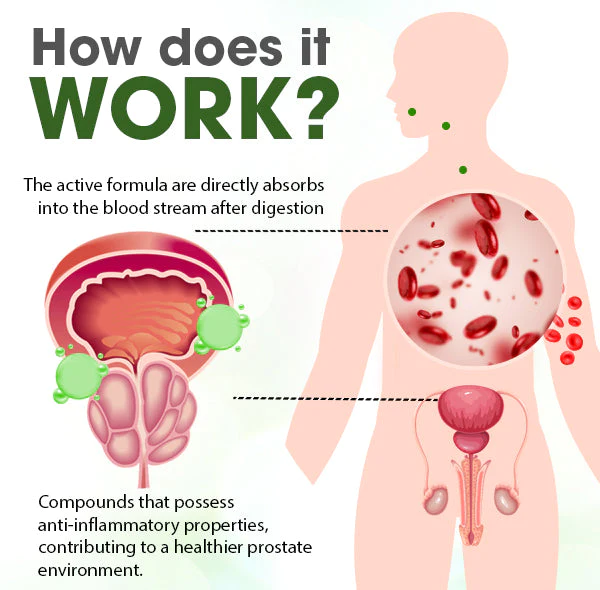 Herbal Support Tea - Image 3