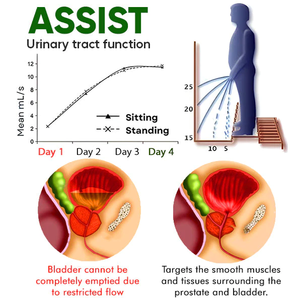 Herbal Support Tea - Image 4