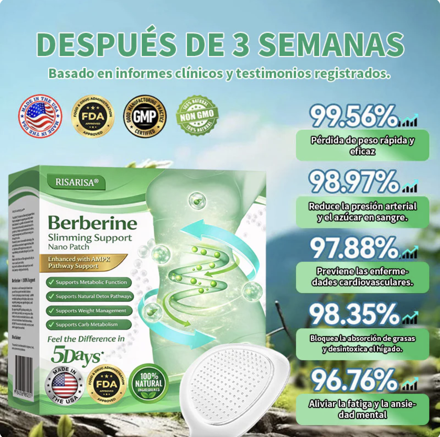 BERBERINE Solución de Parche Nano Un enfoque integral - Image 4