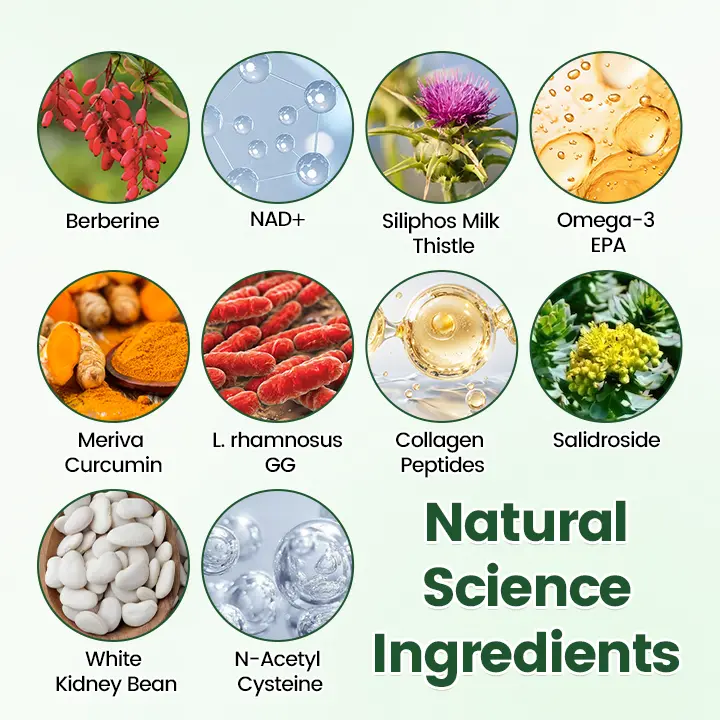 ๐ด๐๐๐๐๐๐ ยท ๐ฉ๐๐๐๐๐๐๐๐ + ๐ต๐จ๐ซ+ 10-๐๐-1 ๐ต๐๐๐ ๐ด๐๐๐๐๐๐๐๐
๐๐ ๐ท๐๐๐๐ - Image 8