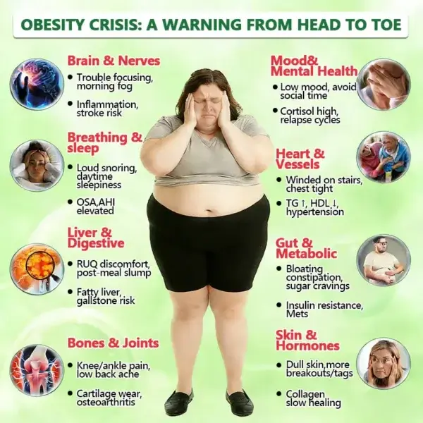 ๐ฉ๐๐๐๐๐ง๐๐ฃ๐ ๐๐๐ฏ๐๐ง๐๐๐ ๐ต๐๐๐-๐๐๐๐๐ก๐ ๐๐๐๐๐ฃ๐ค๐ก๐ค๐๐ฎ - Image 8