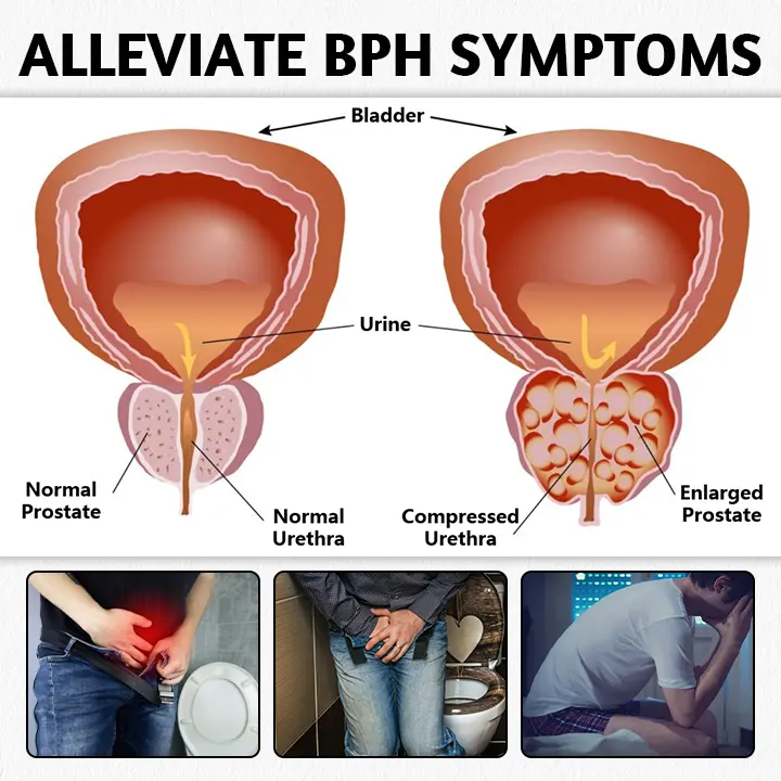 Prosta Magnetic Harmony Ring - Image 5