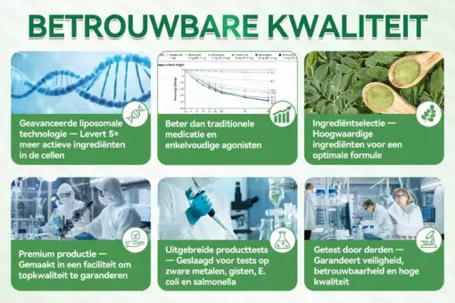 Moringa · Berberine + NAD+ – 12-in-1 Geavanceerde Nano Micronaald Patch - Image 7