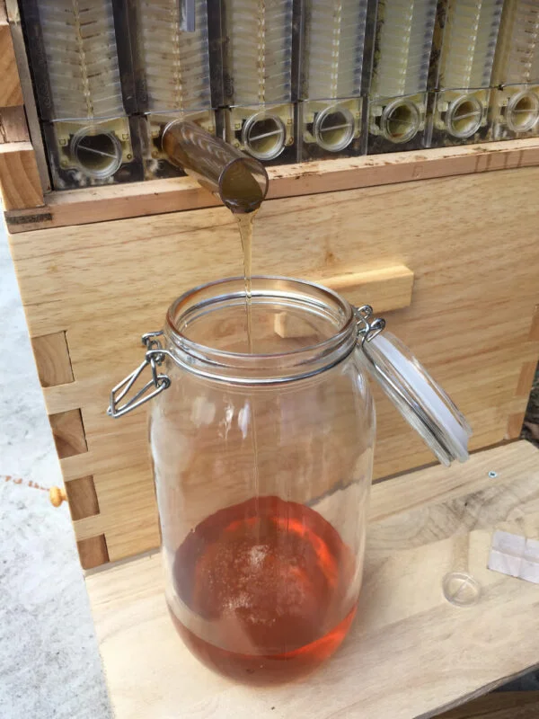 The Honey Sweet Hive - Image 6