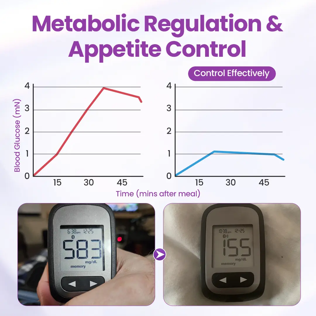 Nano Micro-Delivery Slim Patch — Moringa·Berberine x NAD+ 10-in-1 - Image 8