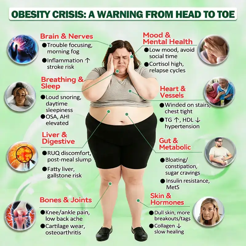 ๐๐๐ข๐ฅ๐ฒ ๐๐ฉ๐ฉ๐๐ญ๐ข๐ญ๐ & ๐๐ฅ๐จ๐จ๐ ๐๐ฎ๐ ๐๐ซ ๐๐ฎ๐ฉ๐ฉ๐จ๐ซ๐ญ ๐๐๐ญ๐๐ก - Image 4