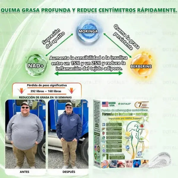 Parche de Microagujas Nano Avanzado 10 en 1 con Moringa Berberina y NAD+ - Image 10