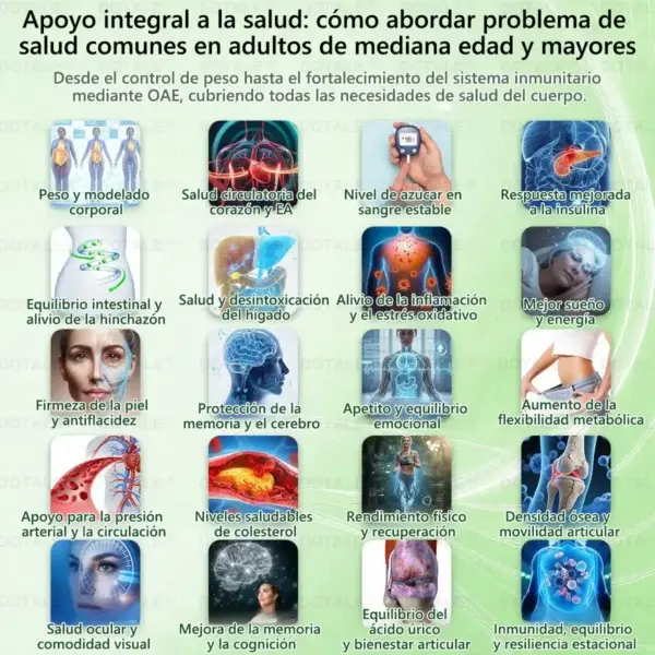 Parche de Microagujas Nano Avanzado 10 en 1 con Moringa Berberina y NAD+ - Image 12