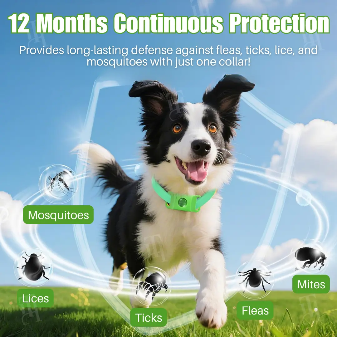 Pet 12 Months Prevention Collar - Image 3