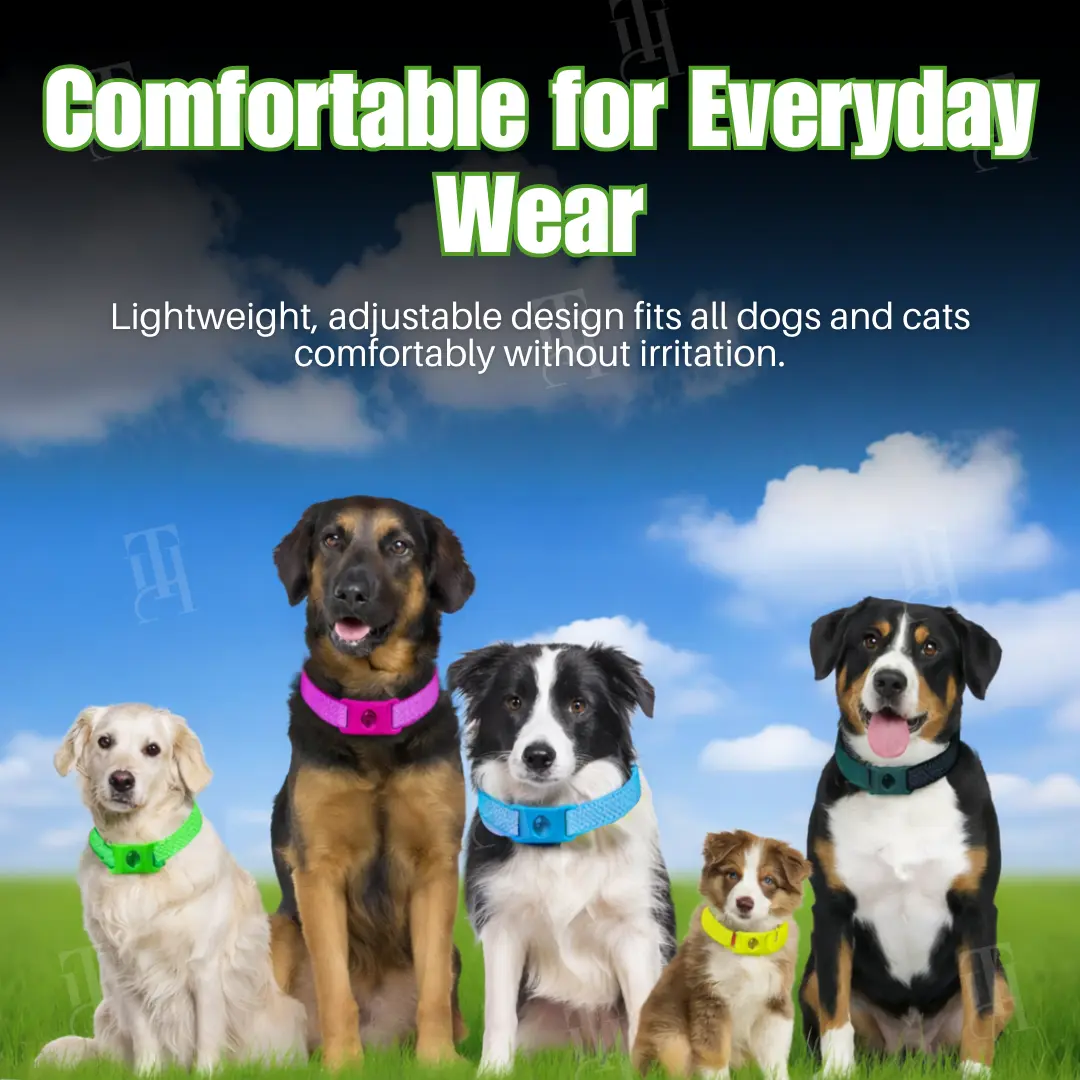 Pet 12 Months Prevention Collar - Image 5