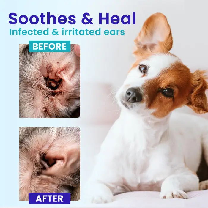 Pet EarPro Drops FM+👂 Vet-Strength Relief That Reaches Deep Where Infections Hide - Image 2