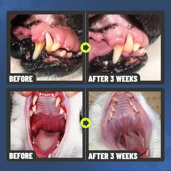 Kolirin Pet Oral Care Spray - Image 6