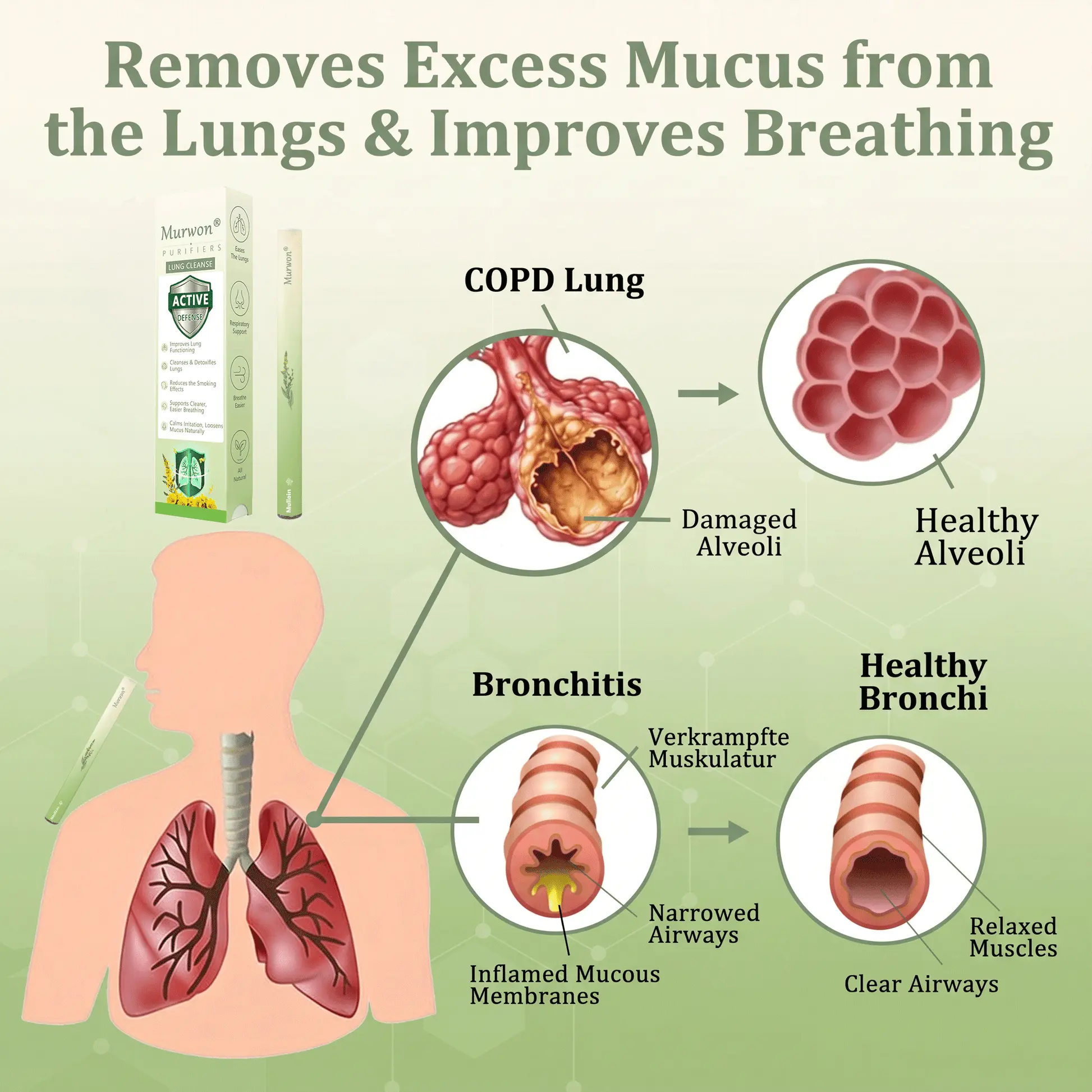 Botanical Mullein Lung Cleanse - Natural Breathing Support - Image 10