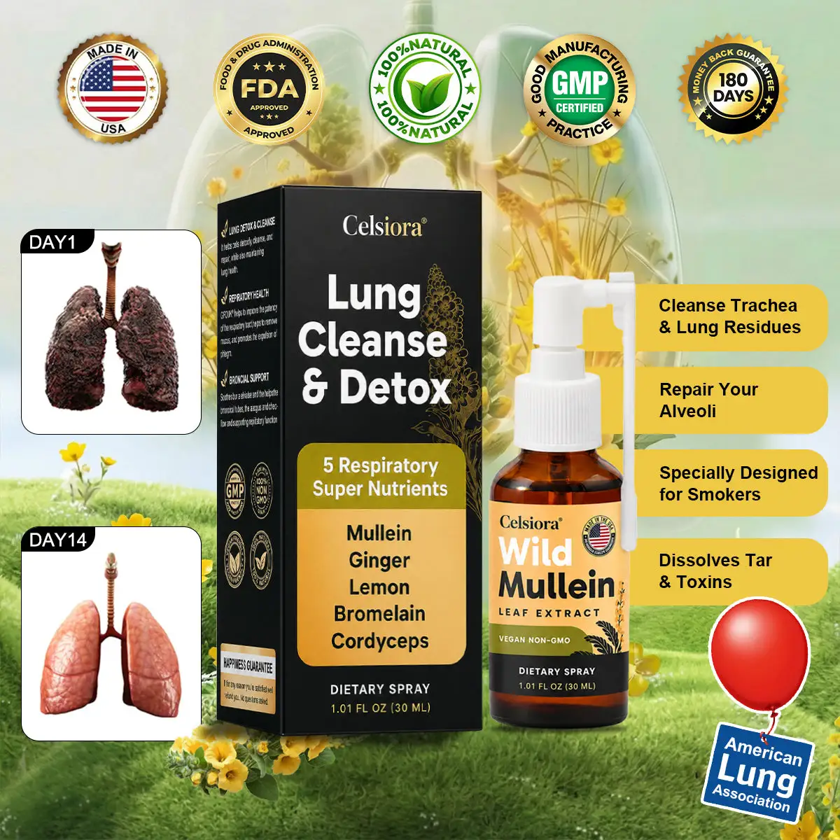 New Maximum Potency Mullein Spray