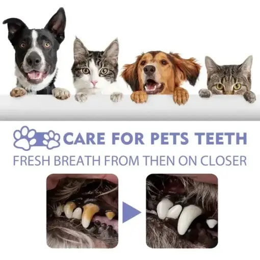 NO BRUSHING oral care spray for dogs cats - Image 2