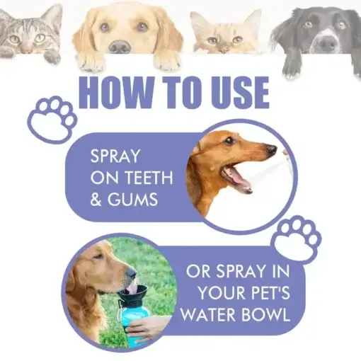 NO BRUSHING oral care spray for dogs cats - Image 3