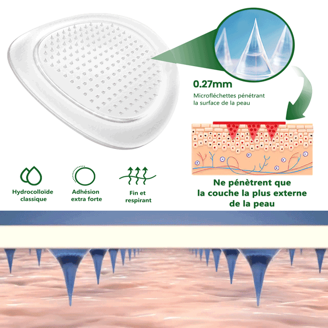 Patch nano à micro-aiguilles avancé 10-en-1 au moringa et à la berbérine - Image 3
