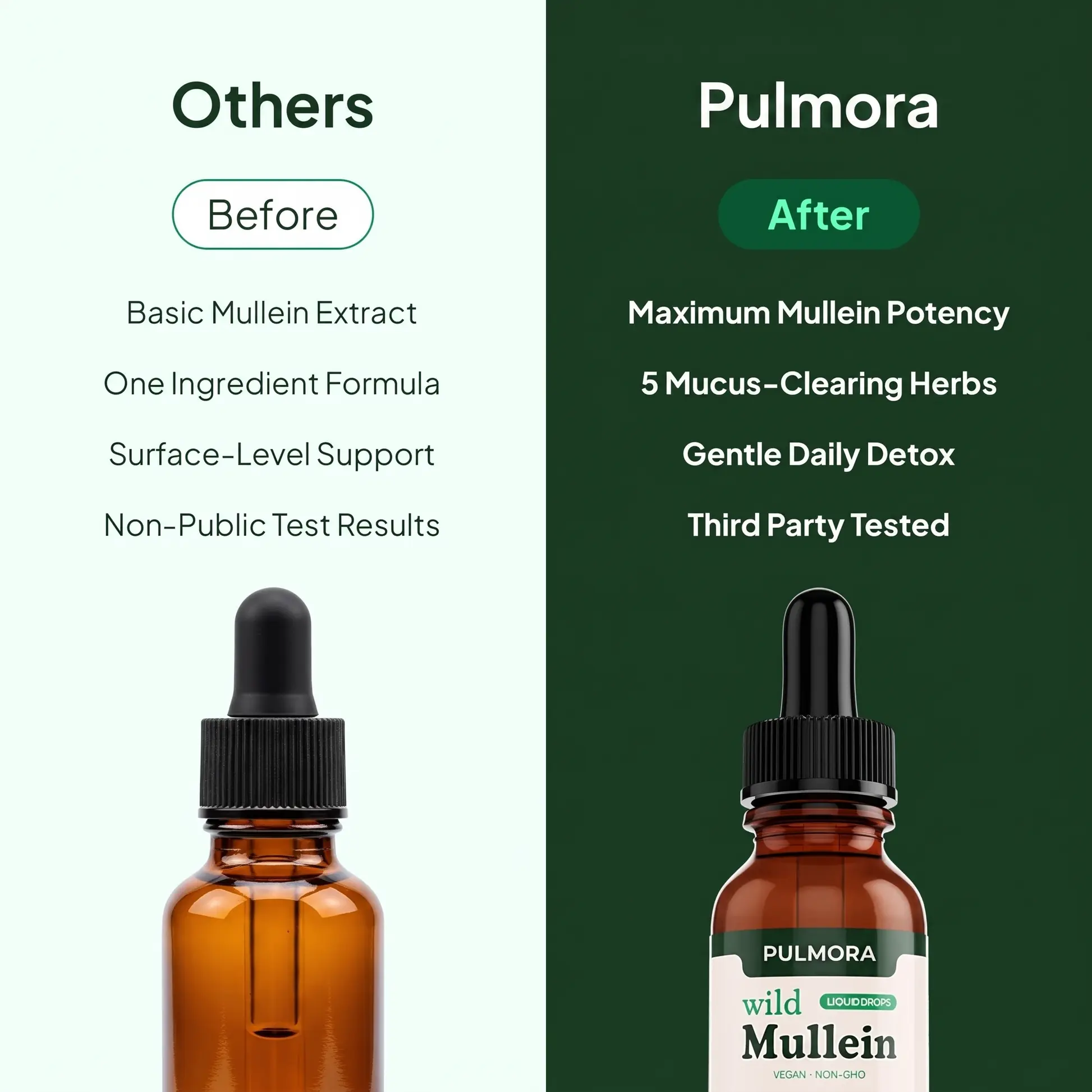 Pulmora Mullein Drops - Image 3
