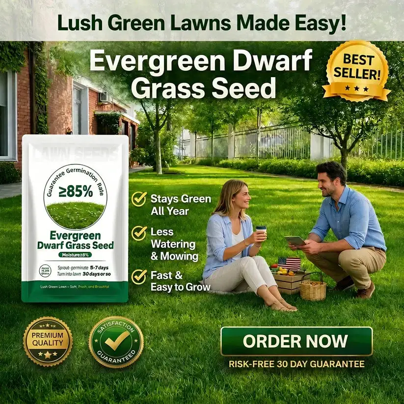 Evergreen Dwarf Grass Seed