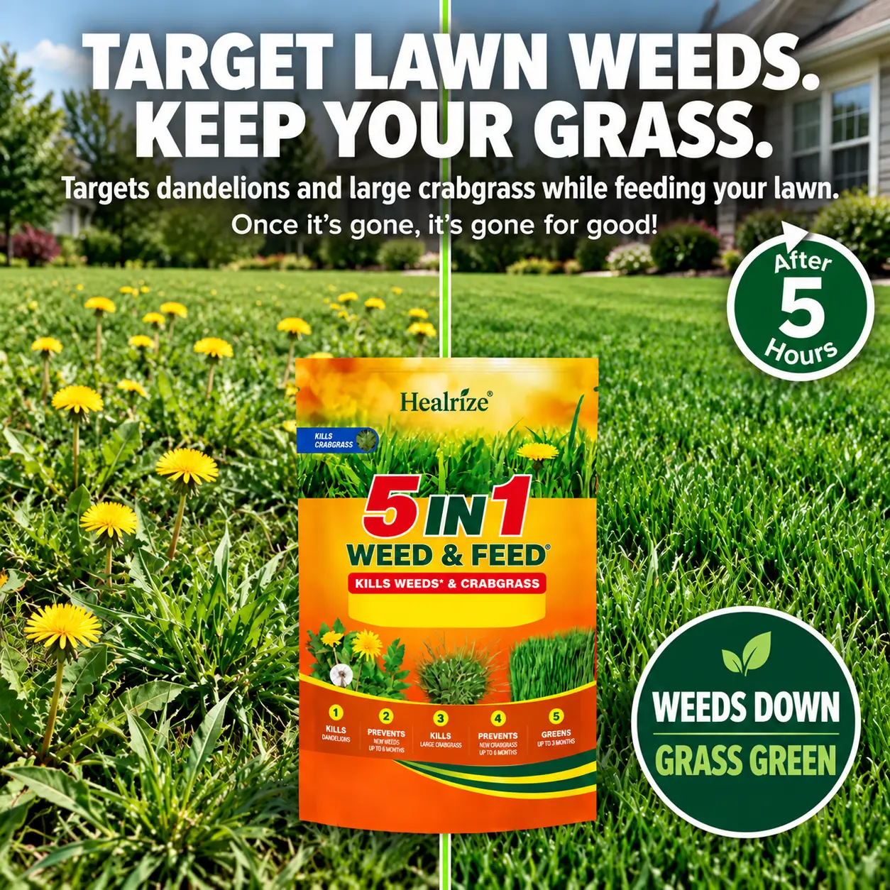 NEW & IMPROVED 5-in-1 Weed & Feed - Image 4