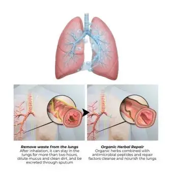 All-New Upgraded Botanical Mullein Lung Cleanse Diffuser - Image 5